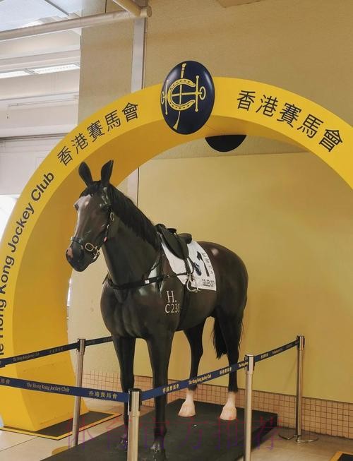 香港赛区一张门票可看多场比赛